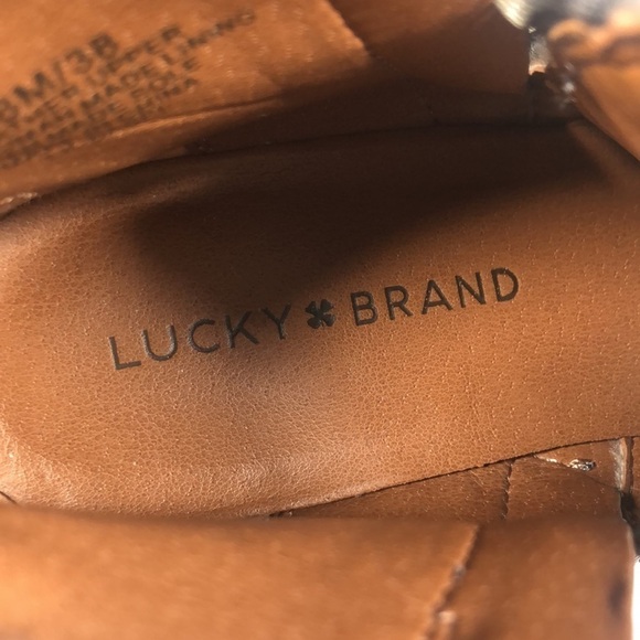 Lucky - Picture 8 of 13